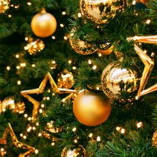 Поздравляю с наступающим 2019 годом!