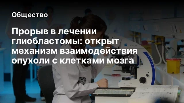Прорыв в лечении глиобластомы: открыт механизм взаимодействия опухоли с клетками мозга