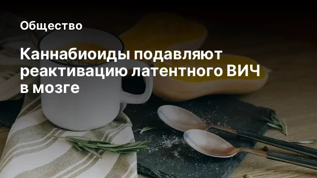 Каннабиоиды подавляют реактивацию латентного ВИЧ в мозге