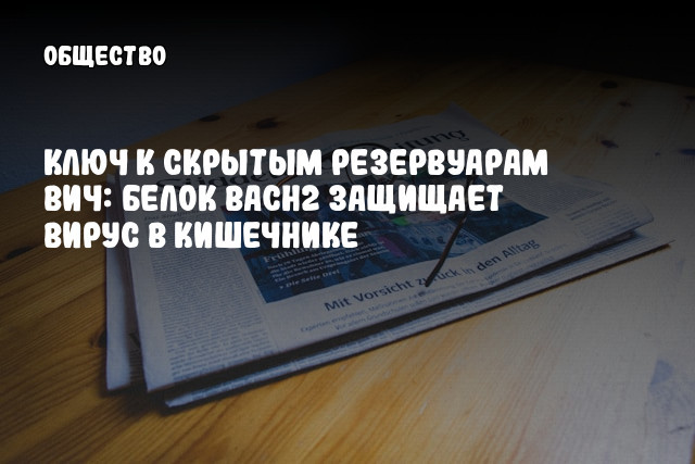 Ключ к скрытым резервуарам ВИЧ: белок BACH2 защищает вирус в кишечнике