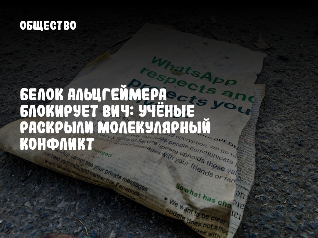 Белок Альцгеймера блокирует ВИЧ: учёные раскрыли молекулярный конфликт