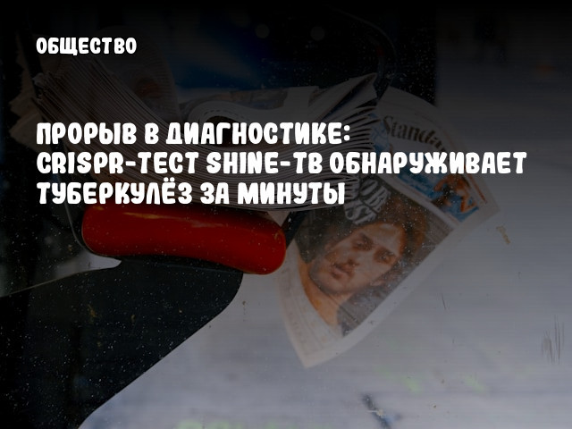 Прорыв в диагностике: CRISPR-тест SHINE-TB обнаруживает туберкулёз за минуты