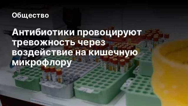 Антибиотики провоцируют тревожность через воздействие на кишечную микрофлору