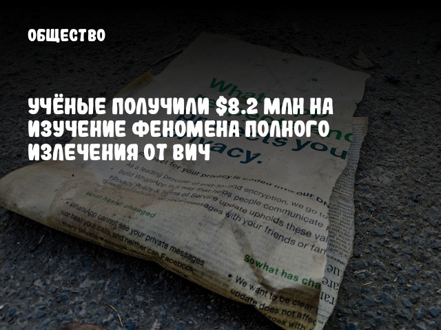 Учёные получили $8.2 млн на изучение феномена полного излечения от ВИЧ