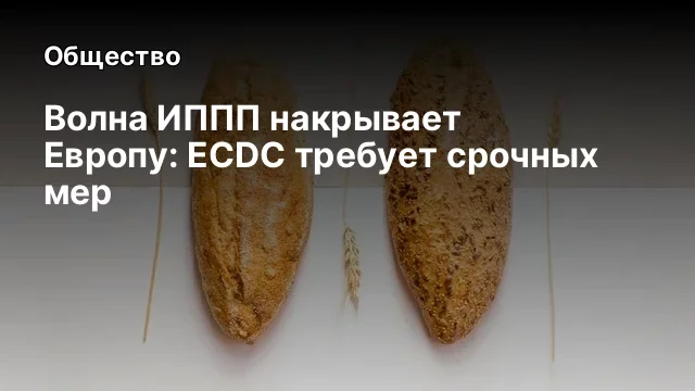 Волна ИППП накрывает Европу: ECDC требует срочных мер