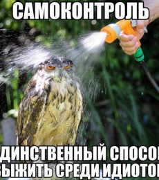 уступи дорогу