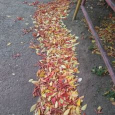 Положительная  осень))))