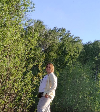 Катя