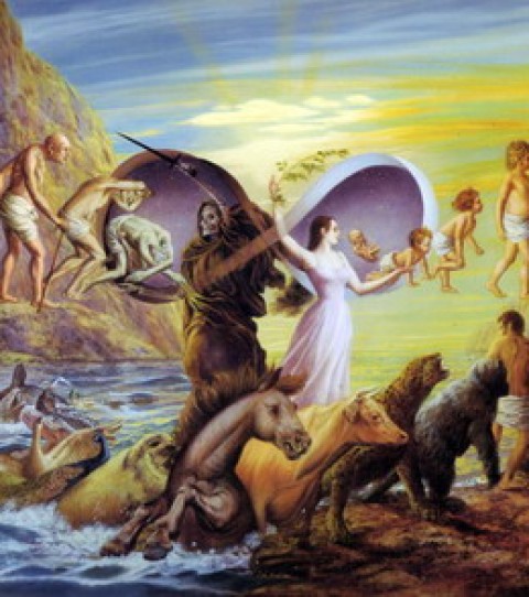 Души мы или люди  ?