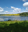 Алекс