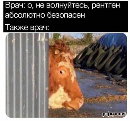 0b41eb0f