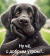 Rus