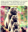 Нелля