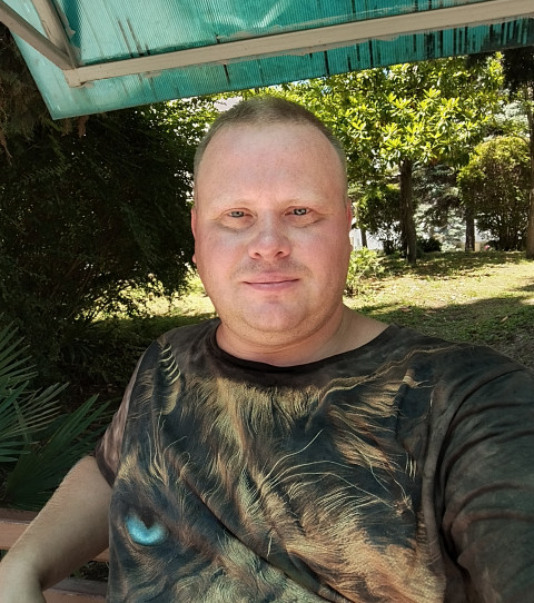 Кот подмигивает