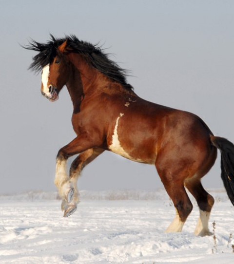 Анвар таштабеков и Замир таштабеков