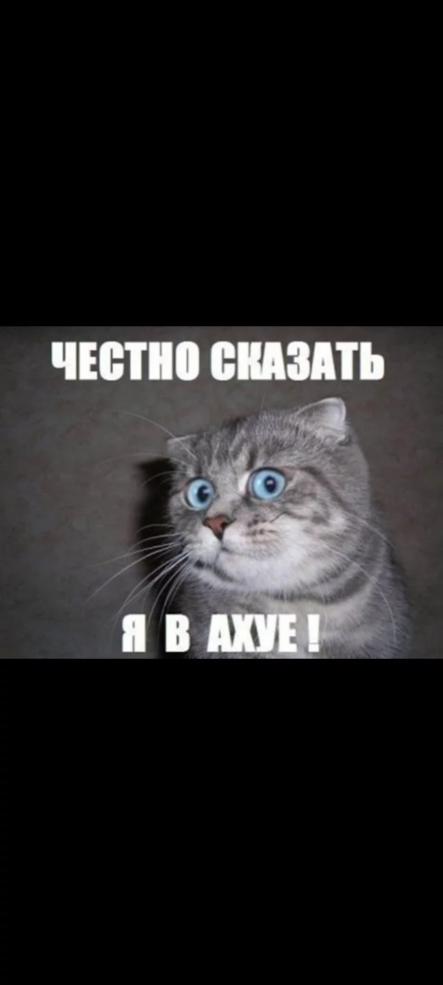 8d62b4f2