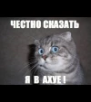 8d62b4f2