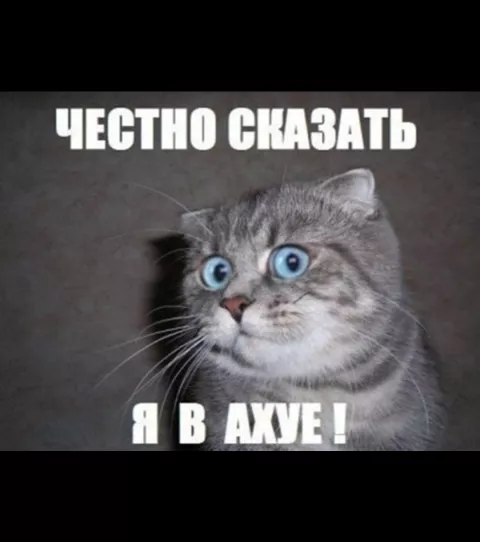 8d62b4f2
