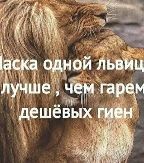 49947891