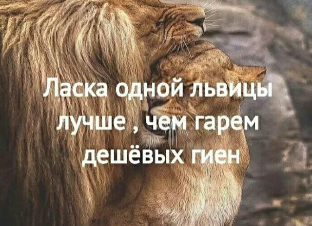 49947891