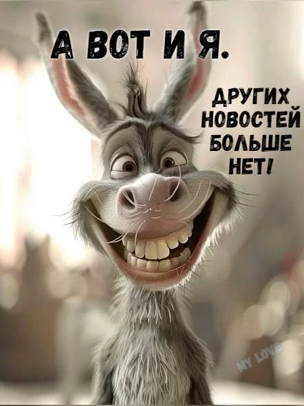 af4d1bc5