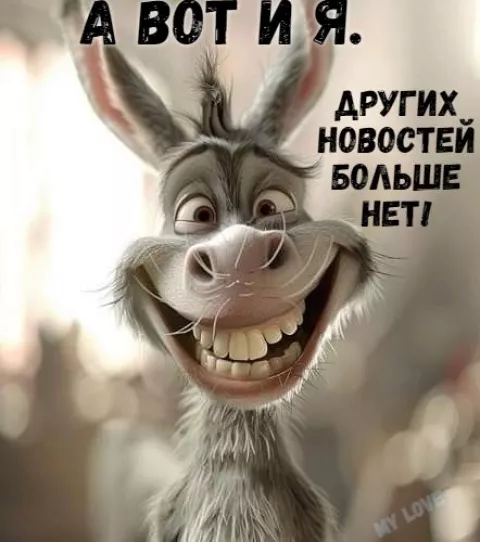 af4d1bc5